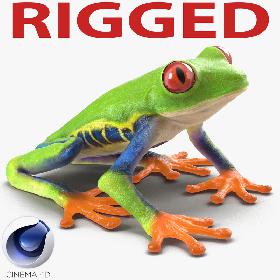 Red Eyed Tree Frog Rigged for Cinema 4D